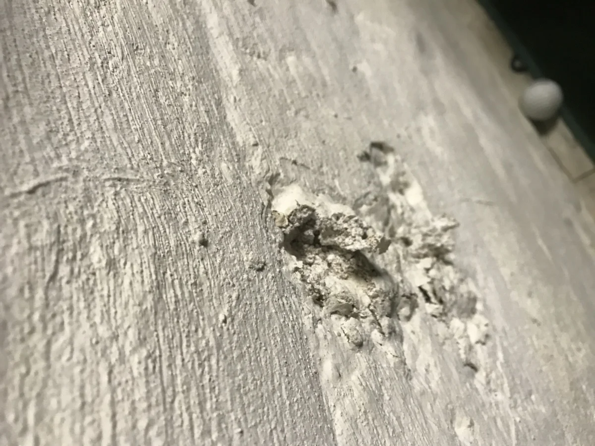 Staining on a basement wall
