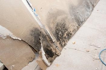 The 7 Worst Problems to Have in Your Basement 1 1 Safe