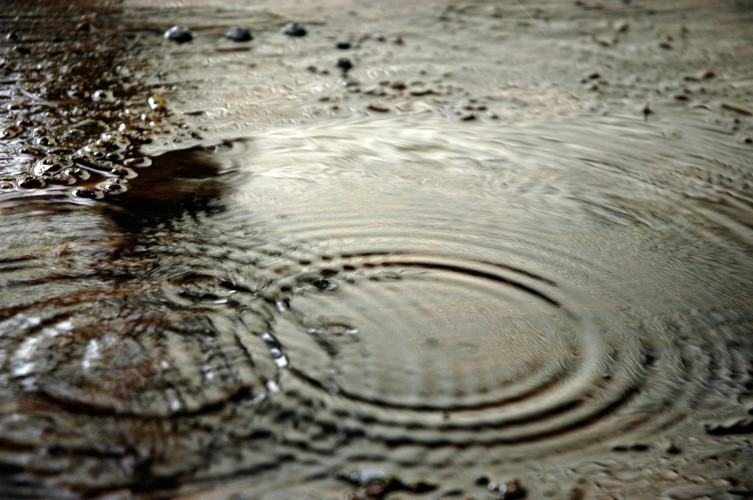 Seasons are a'changin. When the rain comes, protect your home with TerraFirma