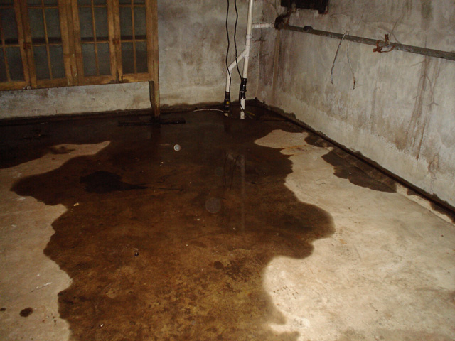 Wet basement interior showing standing water and moisture on walls and floor.