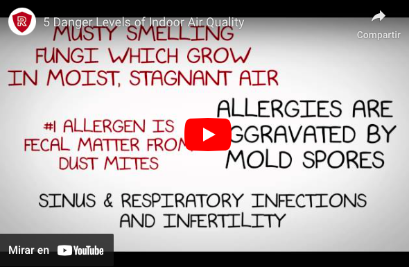 5 Danger Levels of Indoor Air Quality Captura de Pantalla 2024 06 03 a las 8.38.22 air quality