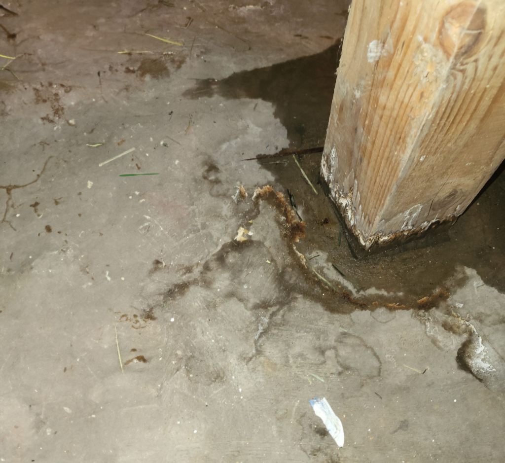 rotten-wood-posts rotten wood posts worry