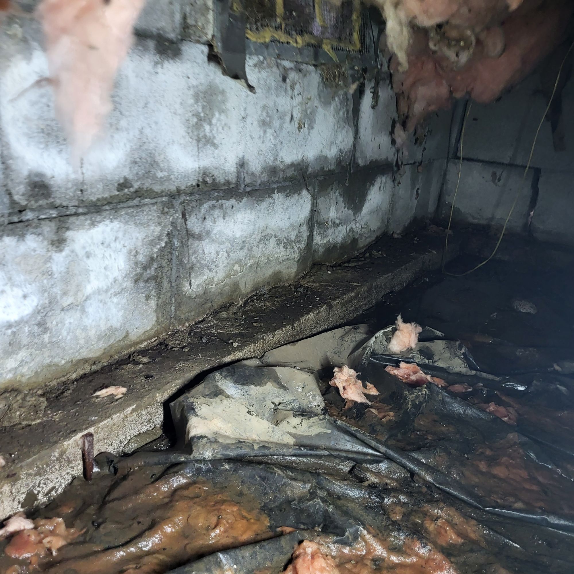 Crawl space repair inspection beneath a Portland Oregon home