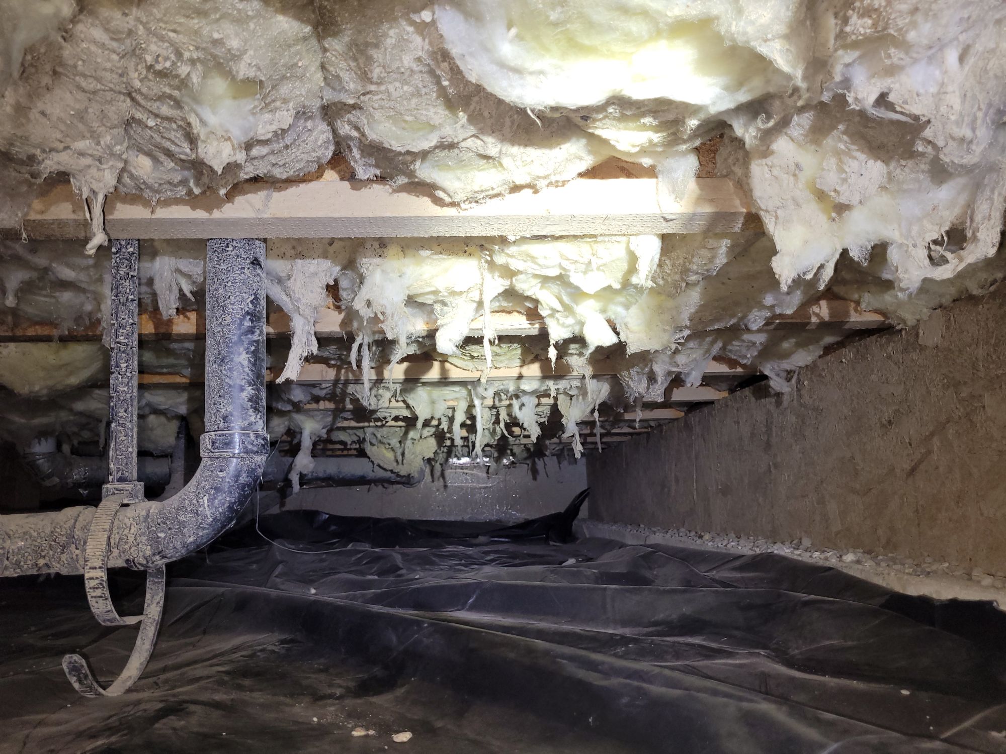 Musty crawl space odors affecting air inside a Portland home