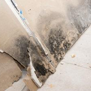 The 7 Worst Problems to Have in Your Basement 1 Safe