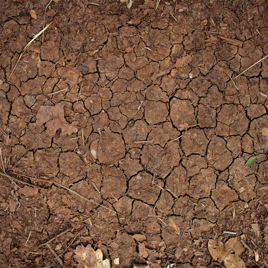 expansivesoil expansivesoil Foundation