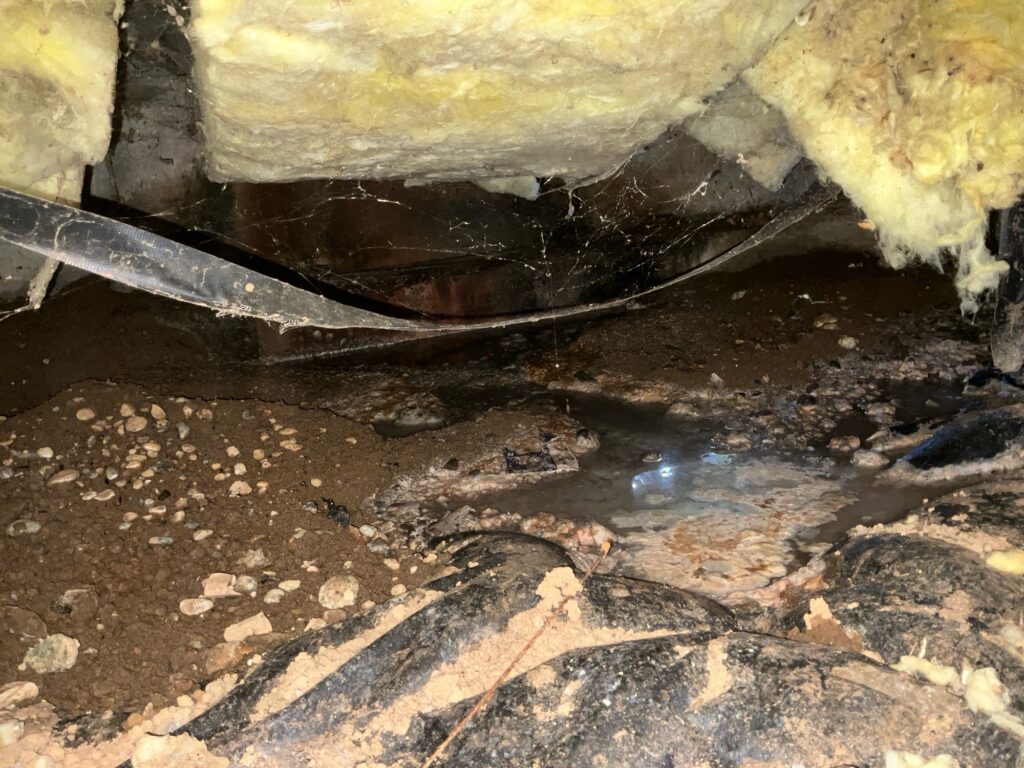 signs-of-wet-crawl-space signs of wet crawl space Protect