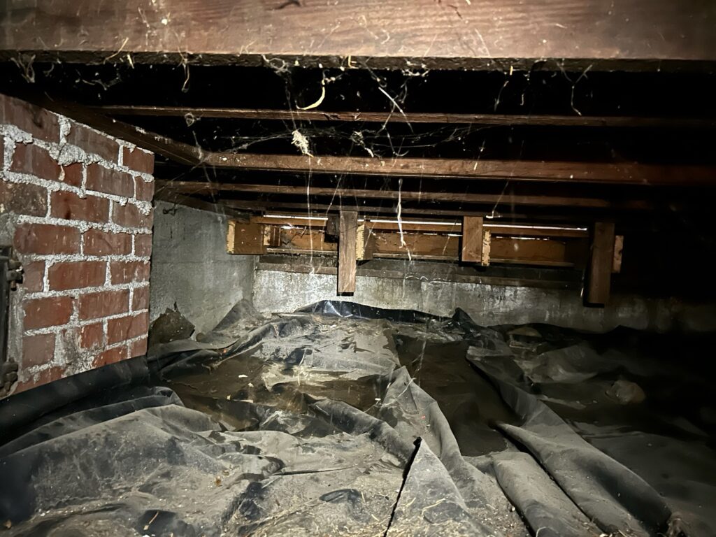 wet-crawl-space wet crawl space Crawl