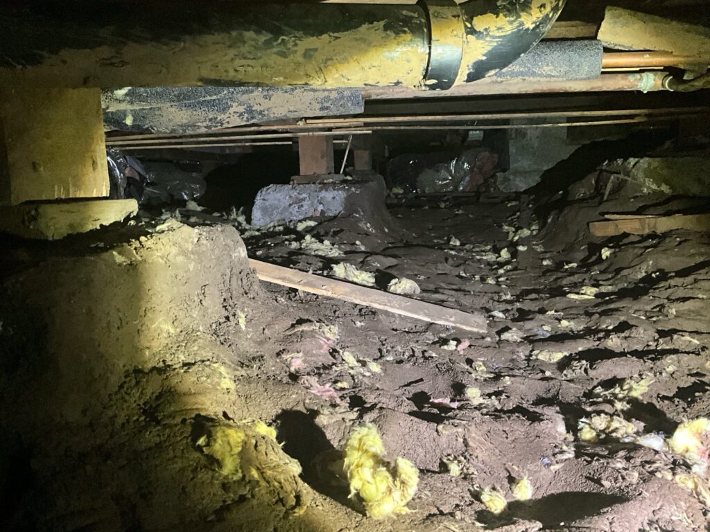 How to Improve Indoor Air Quality: Start with Your Basement or Crawl Space CrawlSpace Musty Mold basement