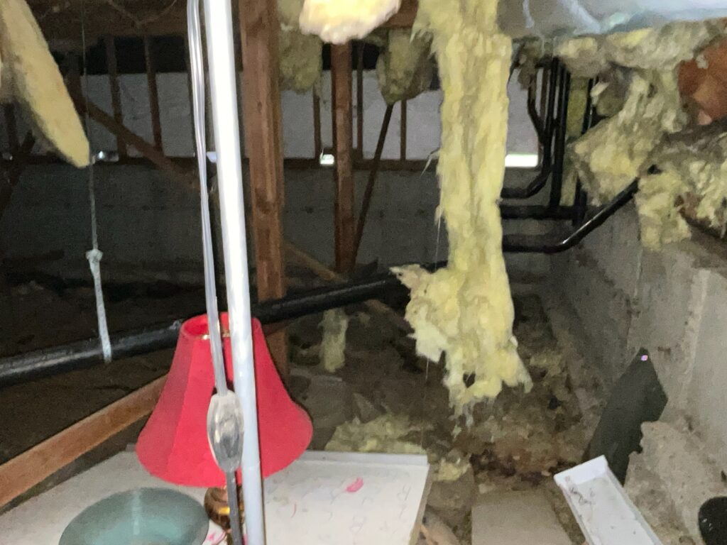 before-crawl-space-encapsulation-Kent-WA before crawl space encapsulation Kent WA crawl space