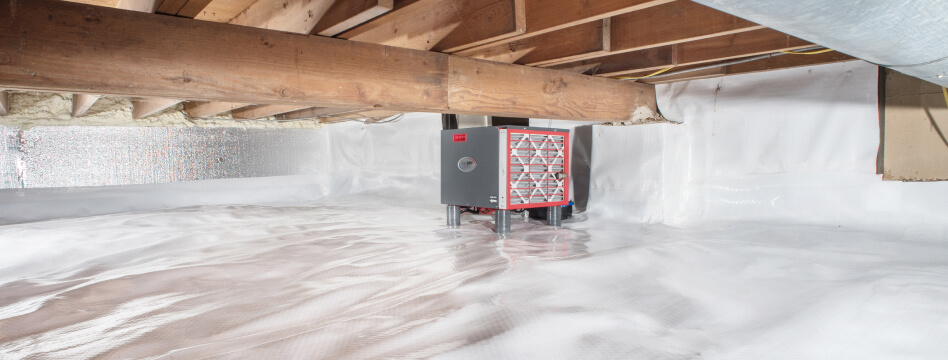 dehumidifiers_titlesection-8 dehumidifiers titlesection 8 Aurora